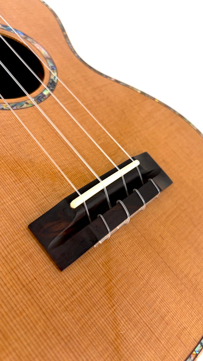 MAESTRO UC-CO SB Concert