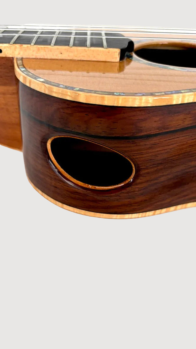 MAESTRO UC-CO SB Concert