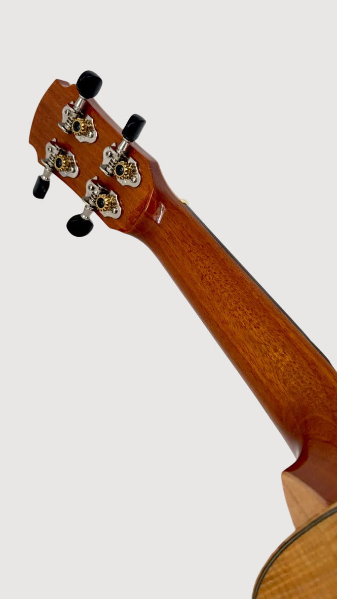 MAESTRO US35 Sopran