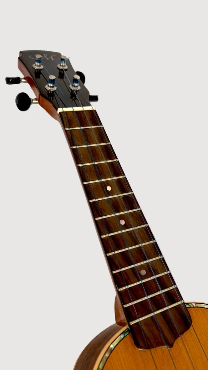 MAESTRO US40 Sopran