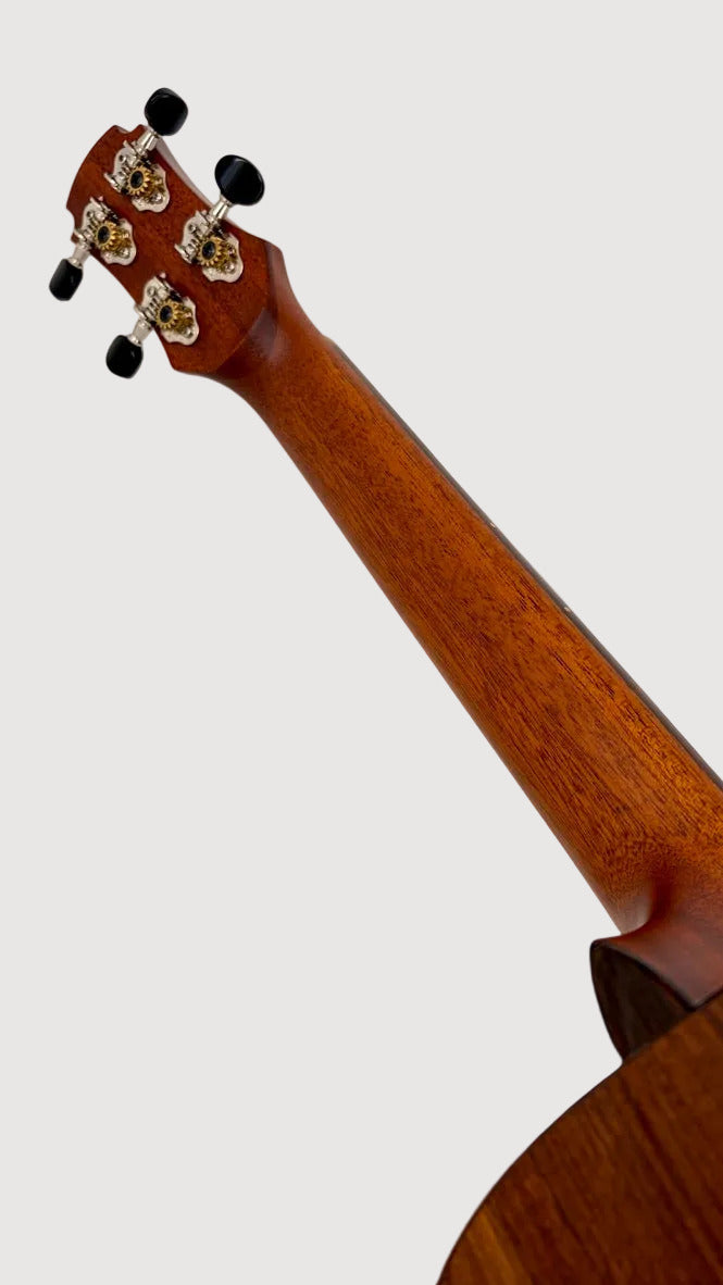 MAESTRO UT-OV SB Tenor