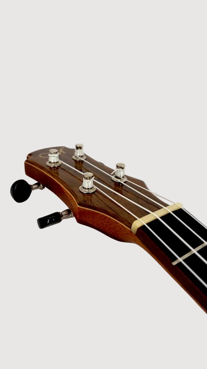 MAESTRO UT-OV SB Tenor