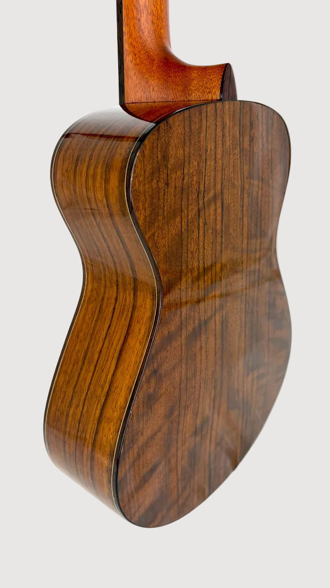 MAESTRO UT-OV SB Tenor