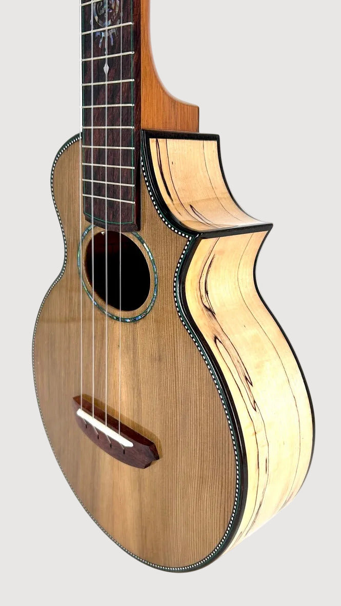 Naturel Concert Zeder