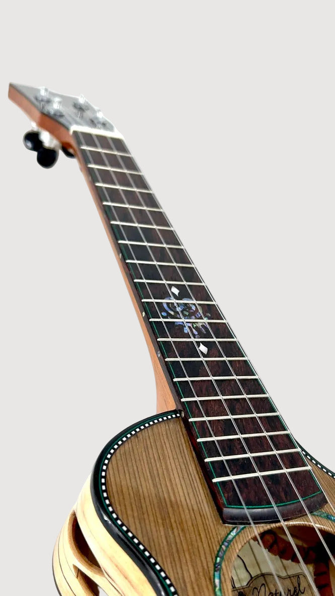 Naturel Concert Jindai Zeder
