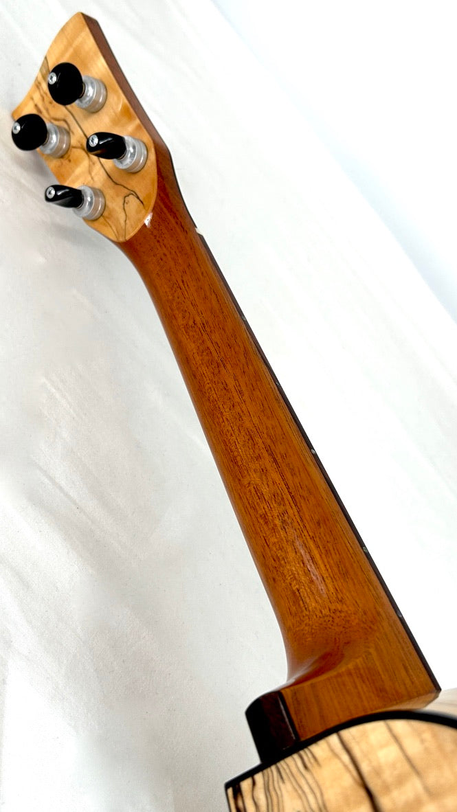 Naturel Concert Zeder