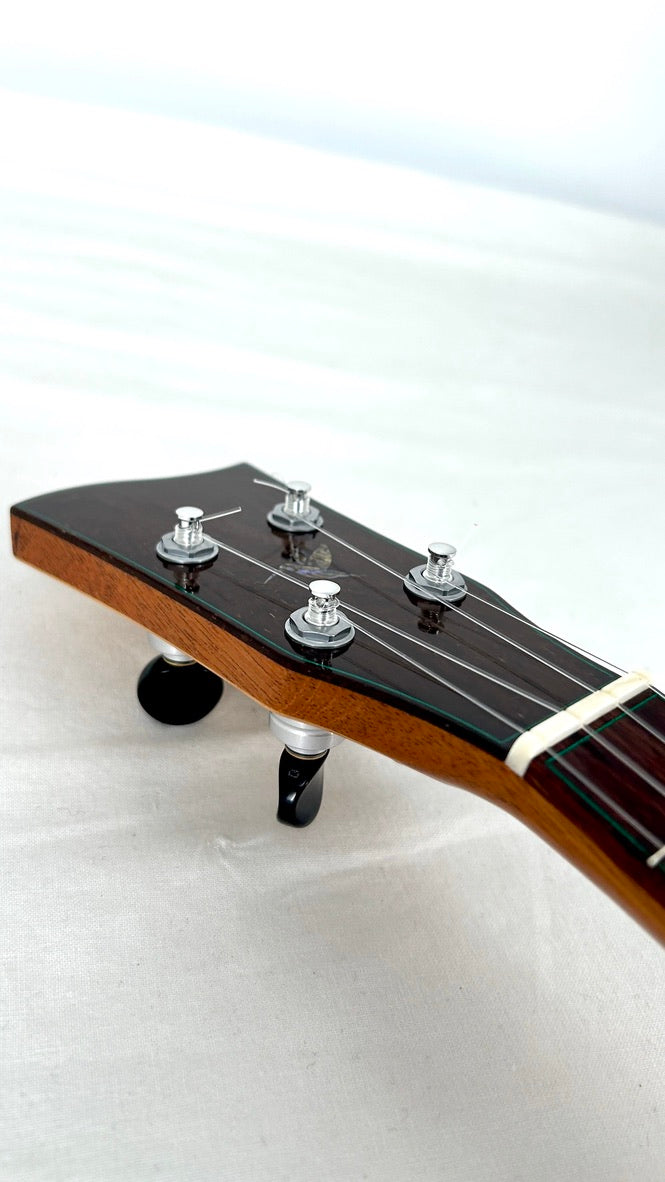 Naturel Concert Zeder