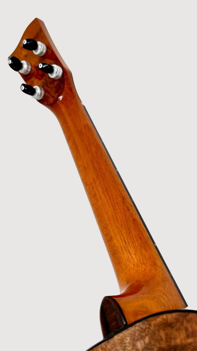 Naturel Tenor Jindai Zeder