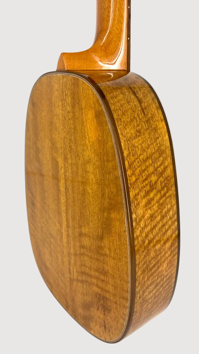 Ohana Tenor Pineapple PKT-220-G