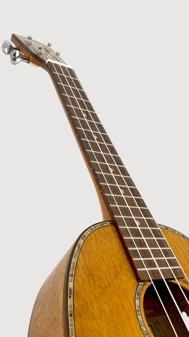 Ohana Tenor Pineapple PKT-220-G
