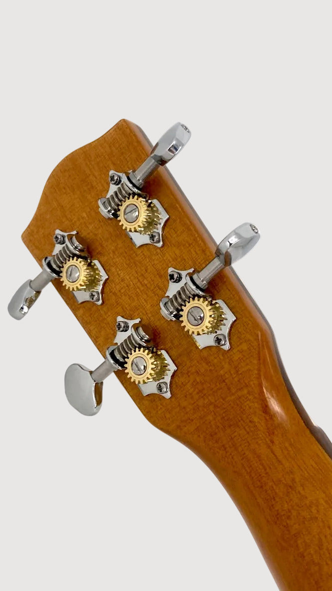 Ohana Tenor Pineapple PKT-220-G