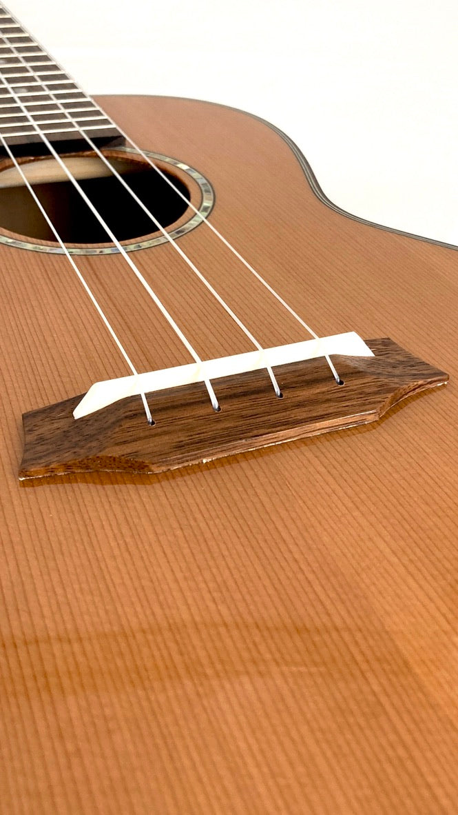 Ohana Tenor TK-260-G