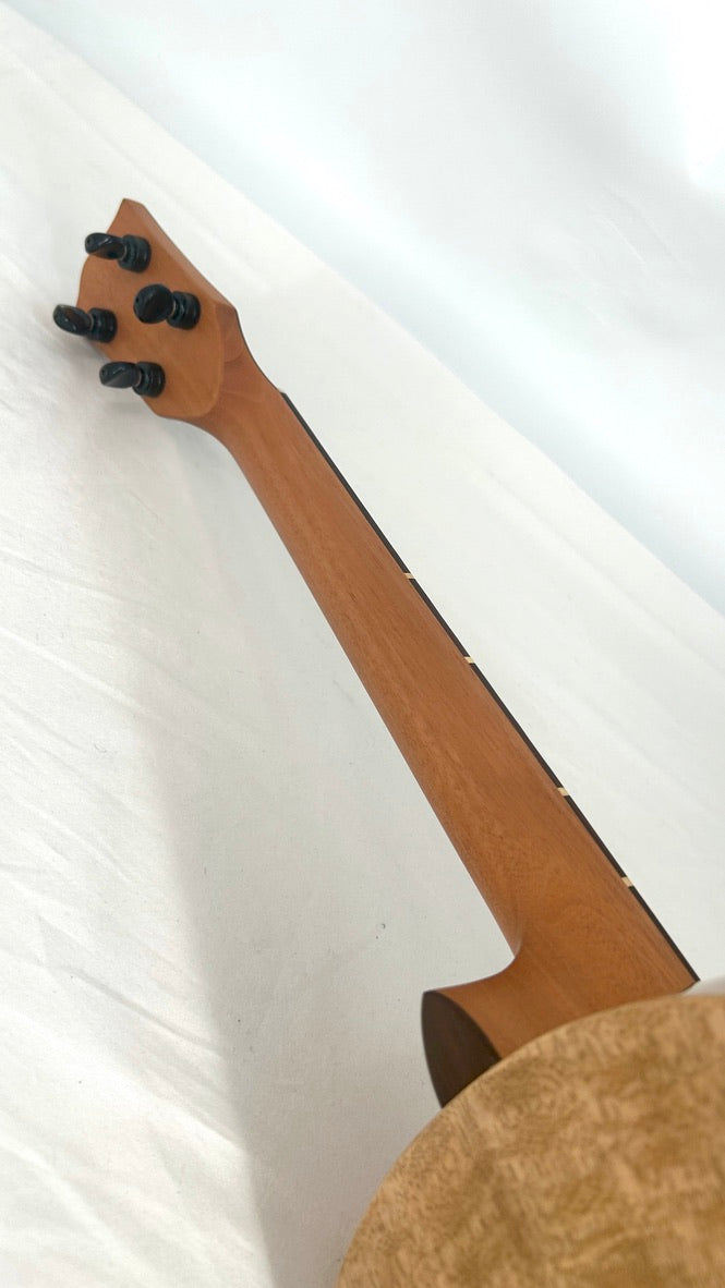 'Oli Bariton Mango gloss (L1-BMG)