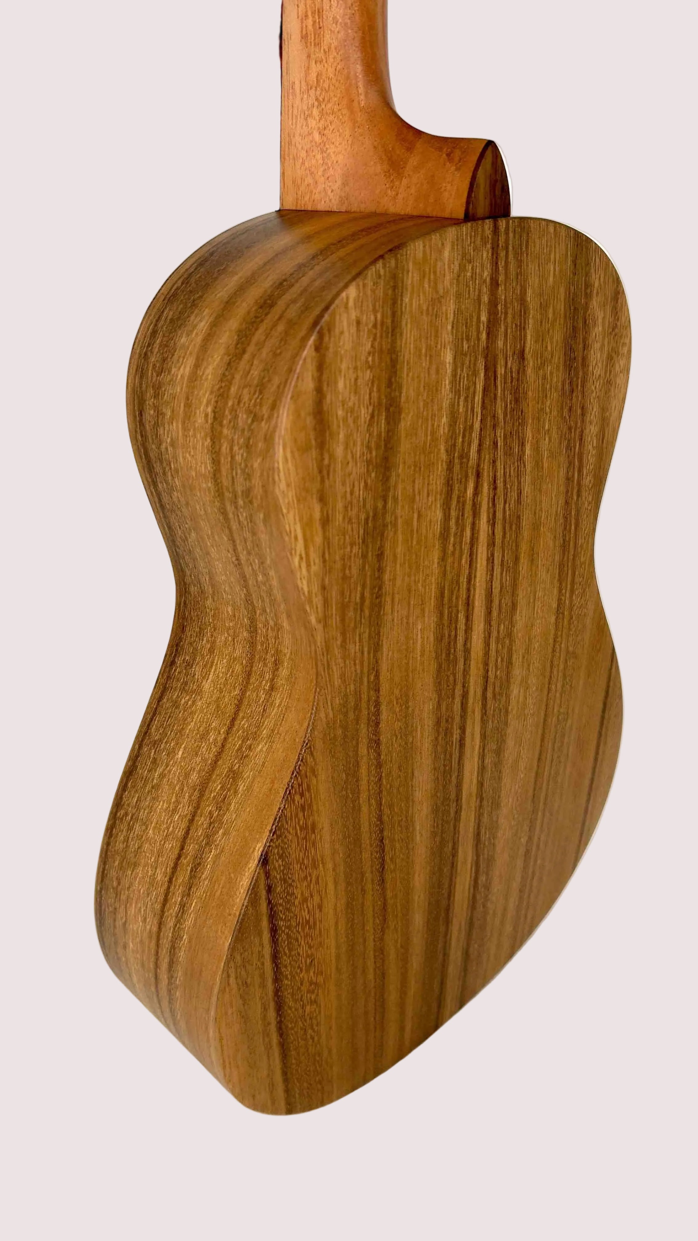 'Oli L1 Bariton Acacia satin (L1-BA-S)