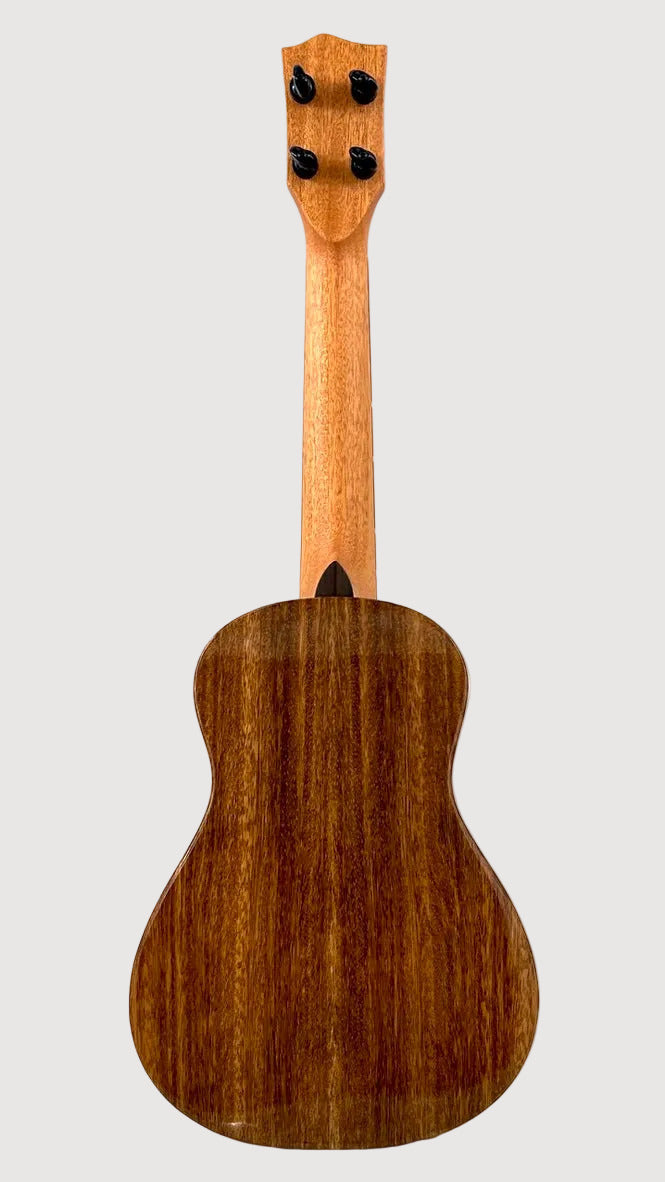 'Oli L1 Concert Acacia gloss (L1-CA)