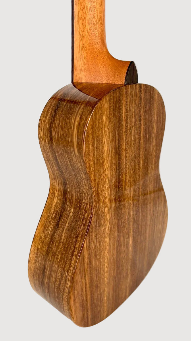 'Oli L1 Concert Acacia gloss (L1-CA)