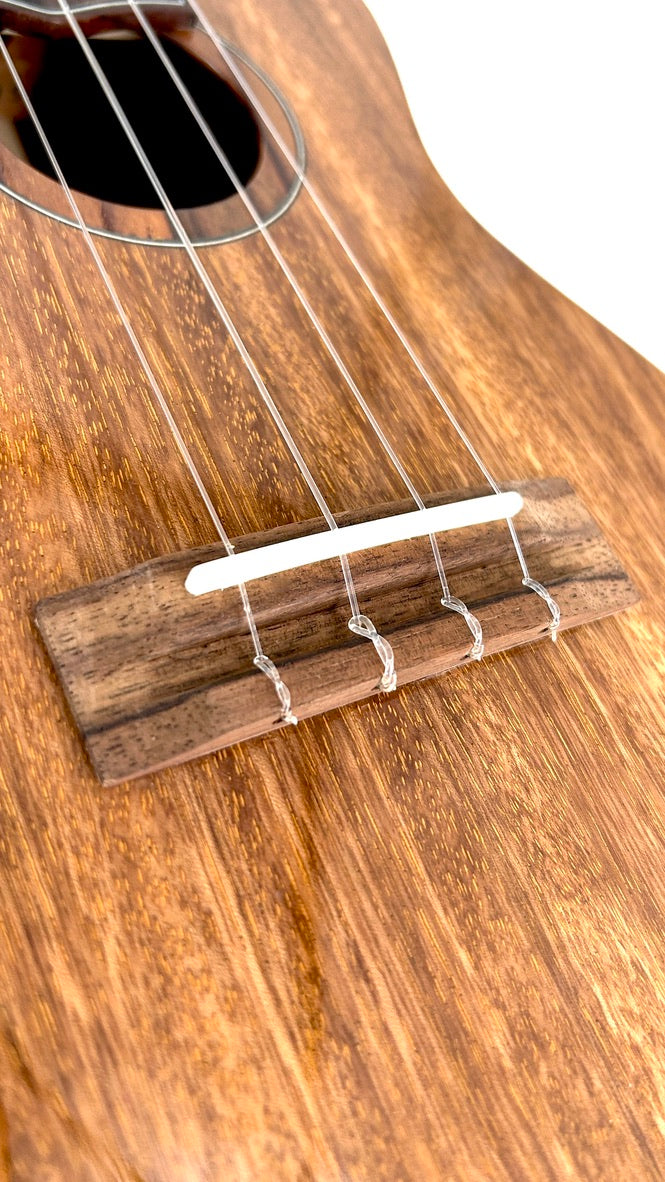 'Oli L1 Concert Acacia gloss (L1-CA)