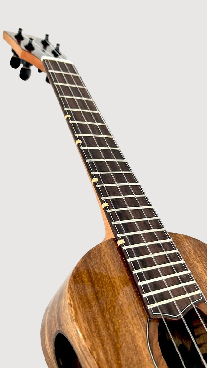 'Oli L1 Concert Acacia gloss (L1-CA)