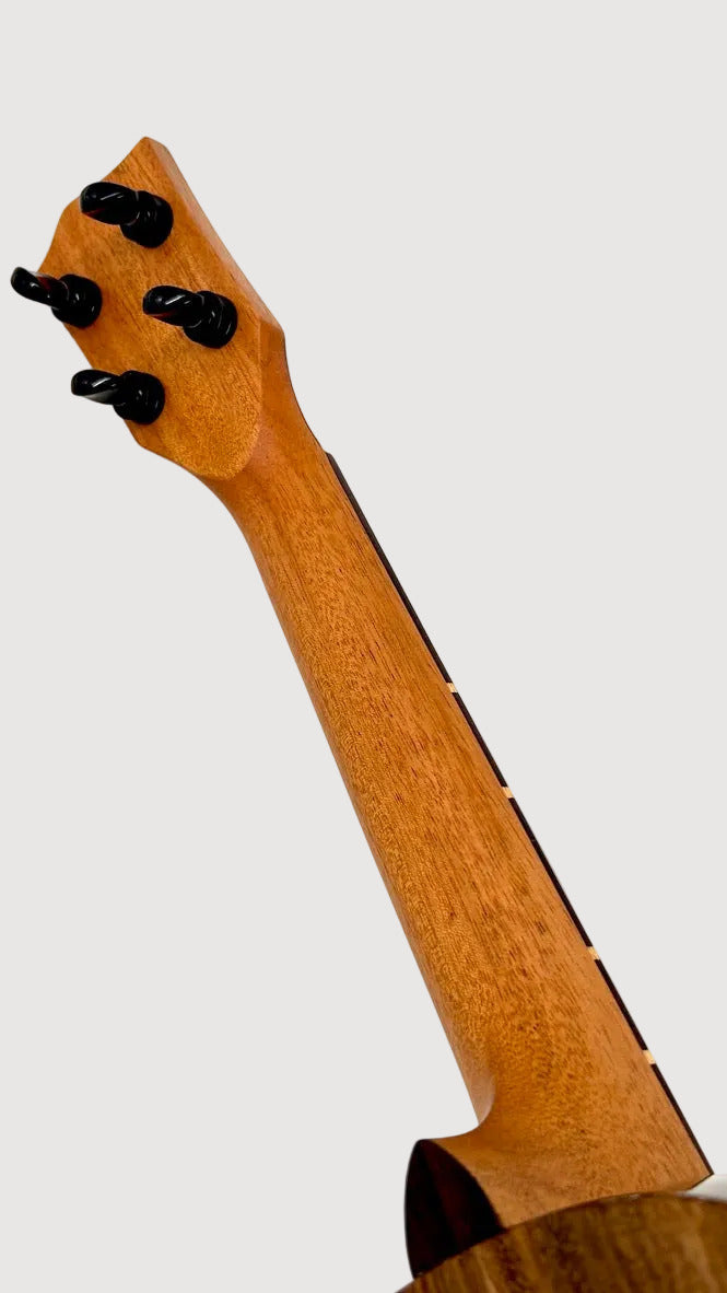 'Oli L1 Concert Acacia gloss (L1-CA)
