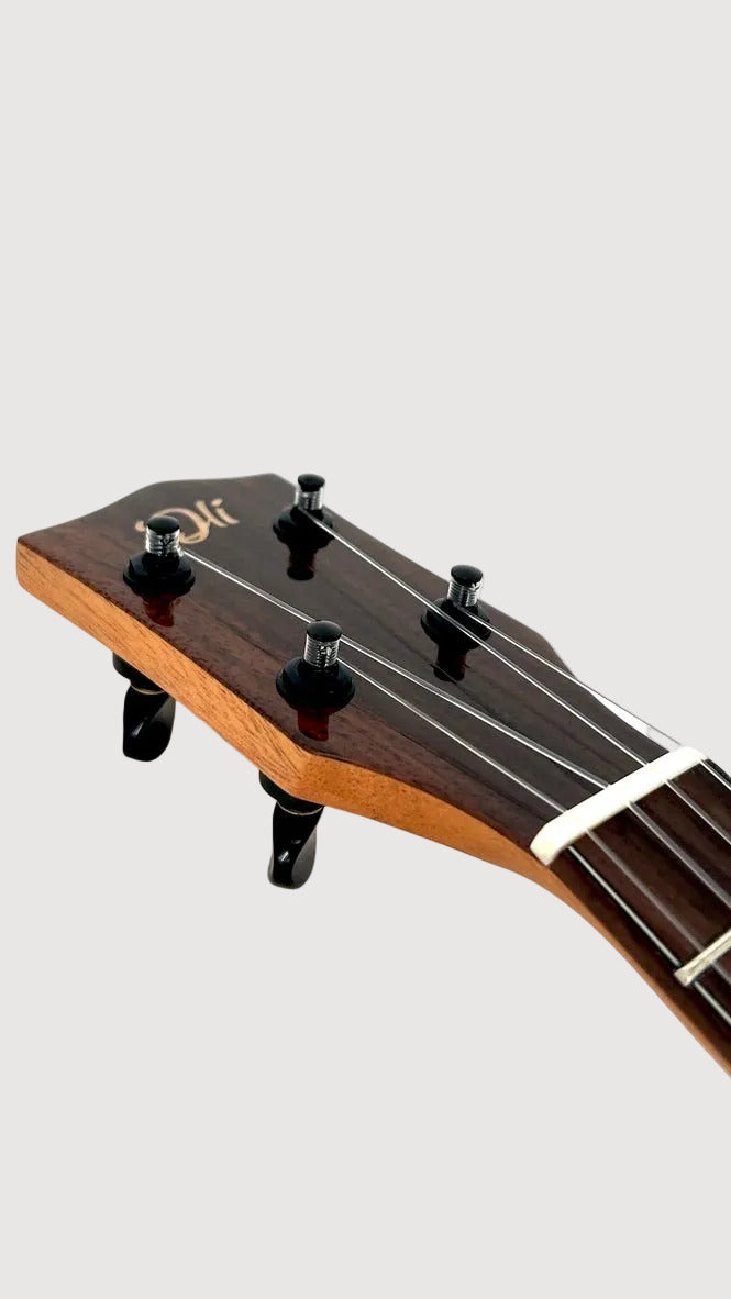'Oli L1 Concert Acacia gloss (L1-CA)