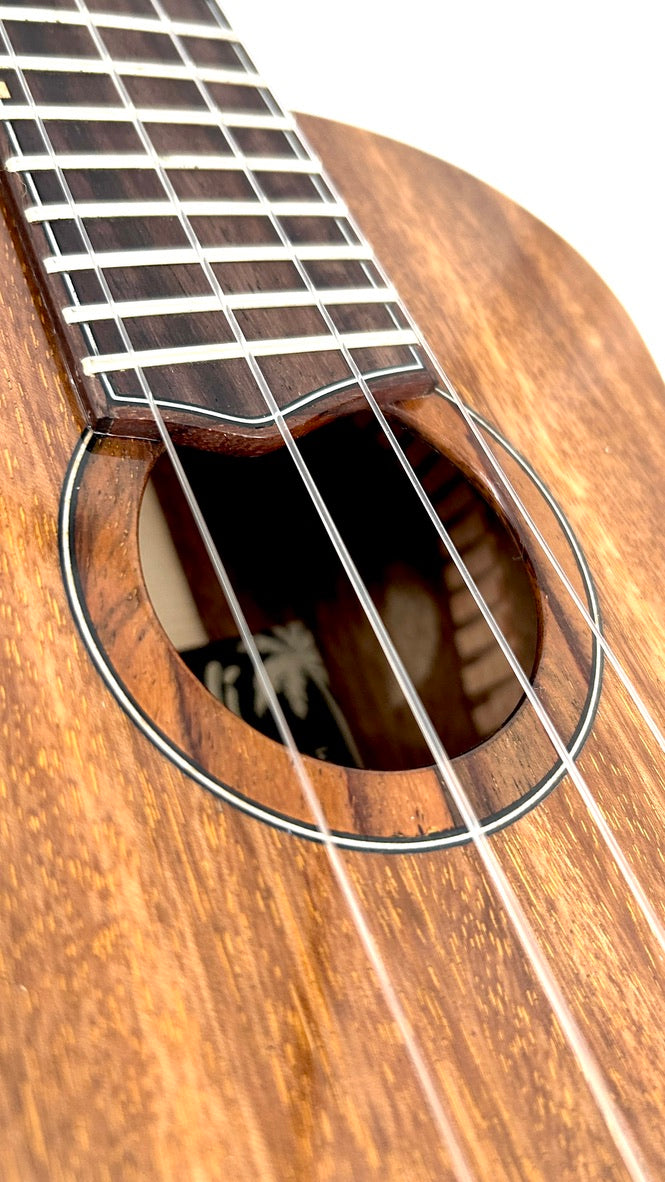 'Oli L1 Concert Acacia gloss (L1-CA)