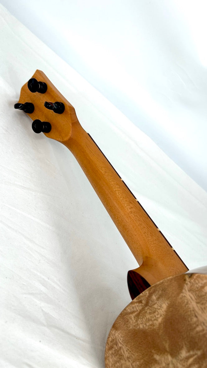 'Oli L1 Concert Mango gloss (L1-CMG)