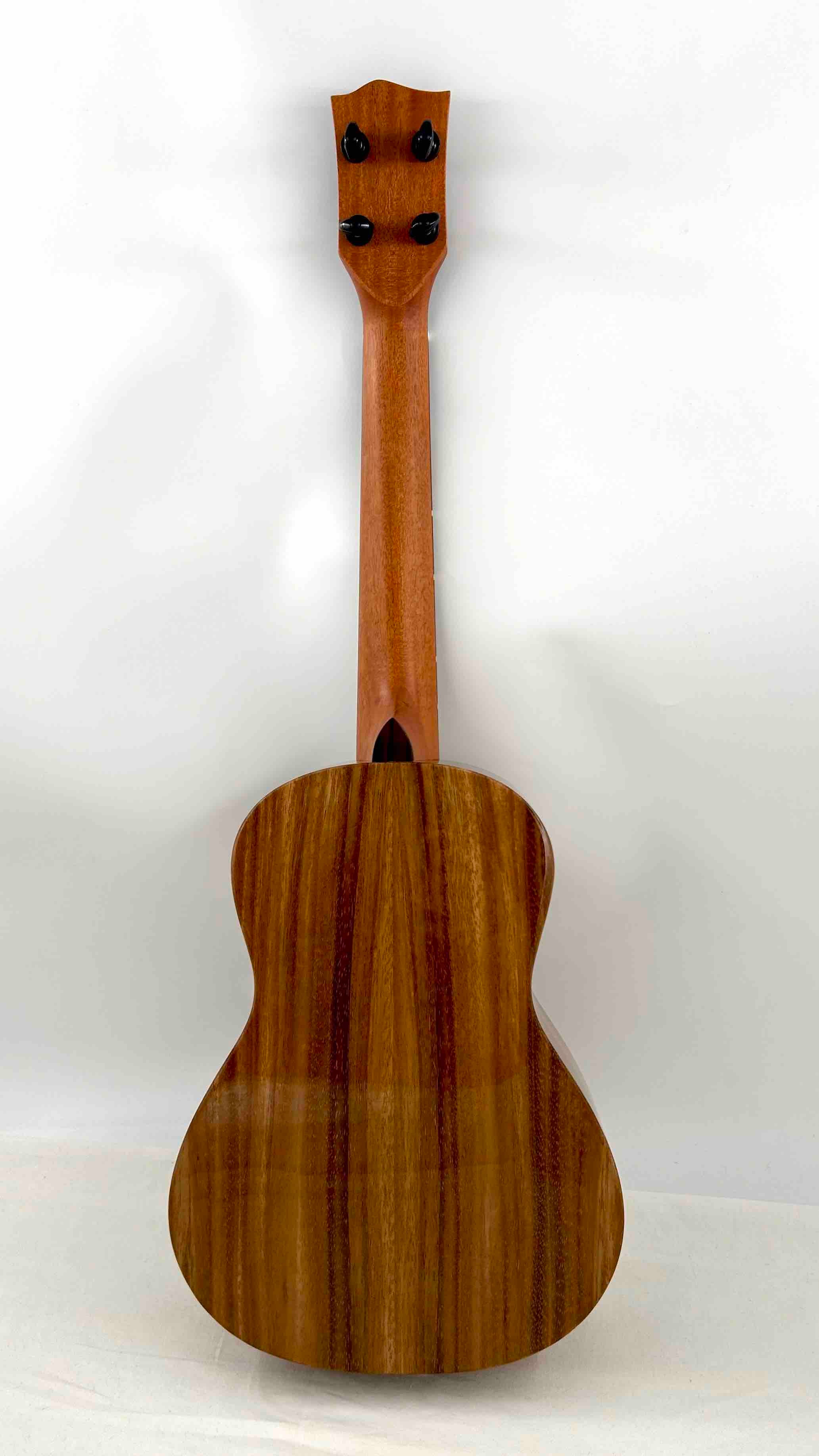 'Oli L1 Tenor Acacia gloss (L1-TA)