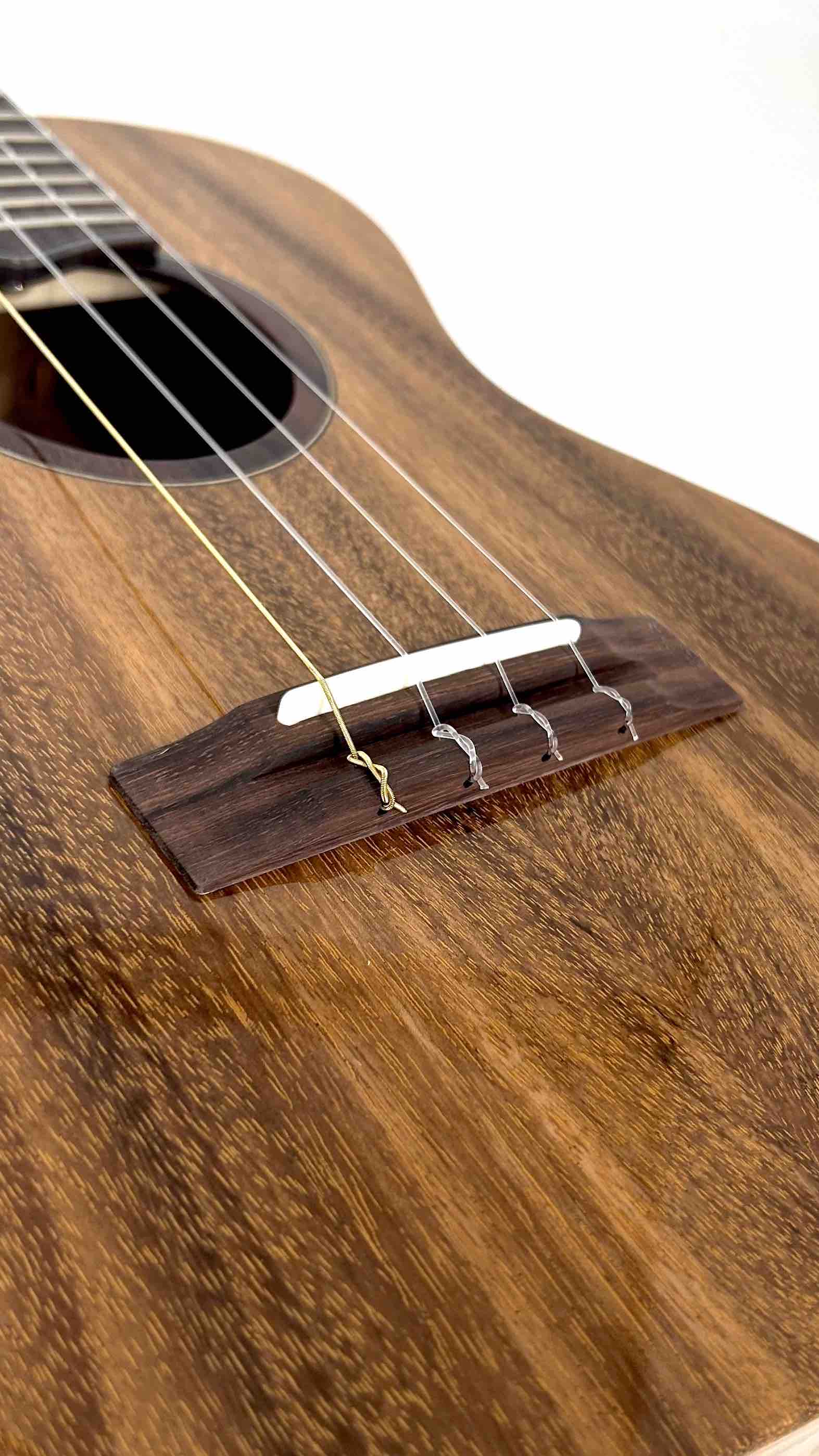 'Oli L1 Tenor Acacia gloss (L1-TA)