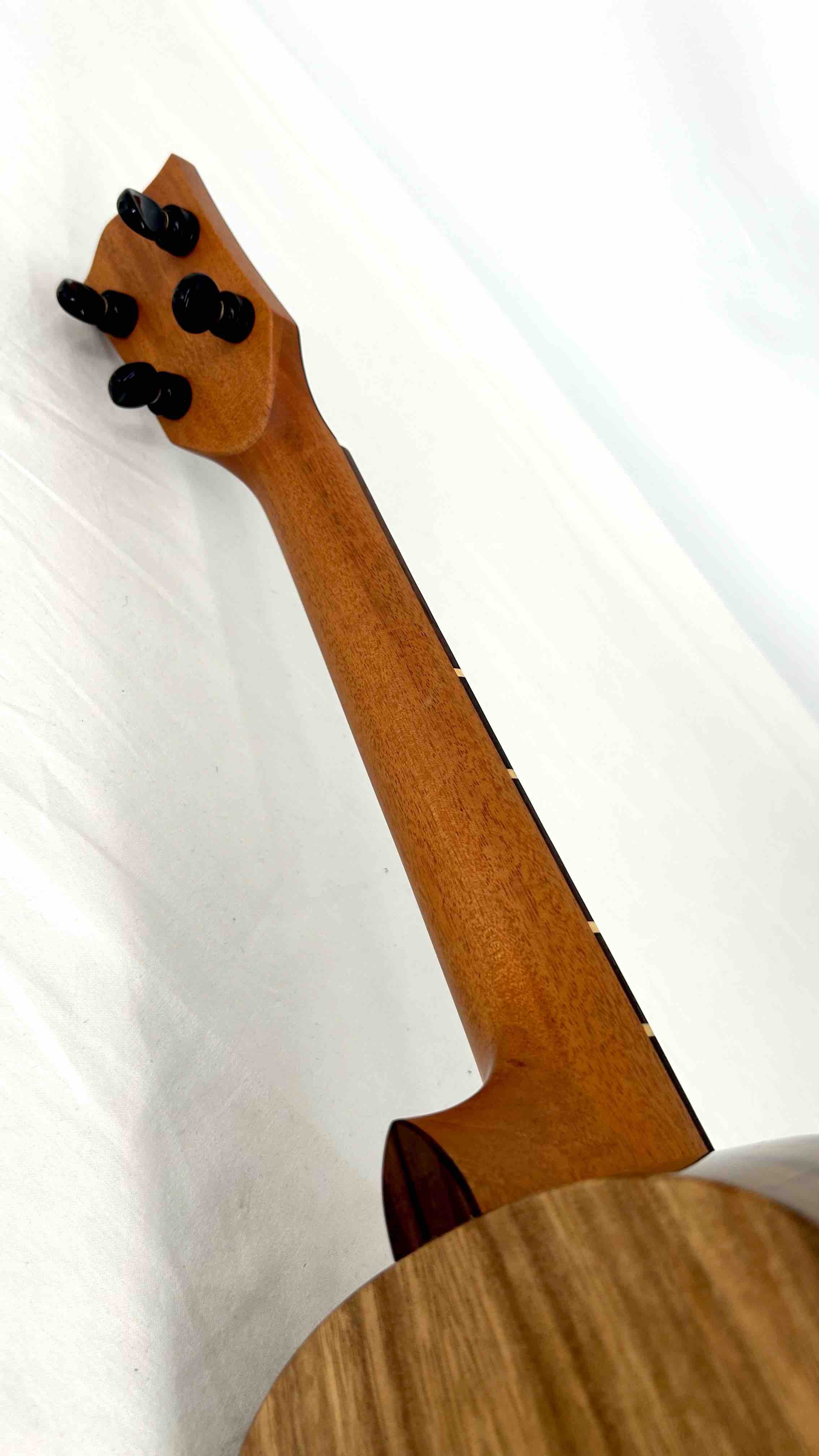 'Oli L1 Tenor Acacia gloss (L1-TA)