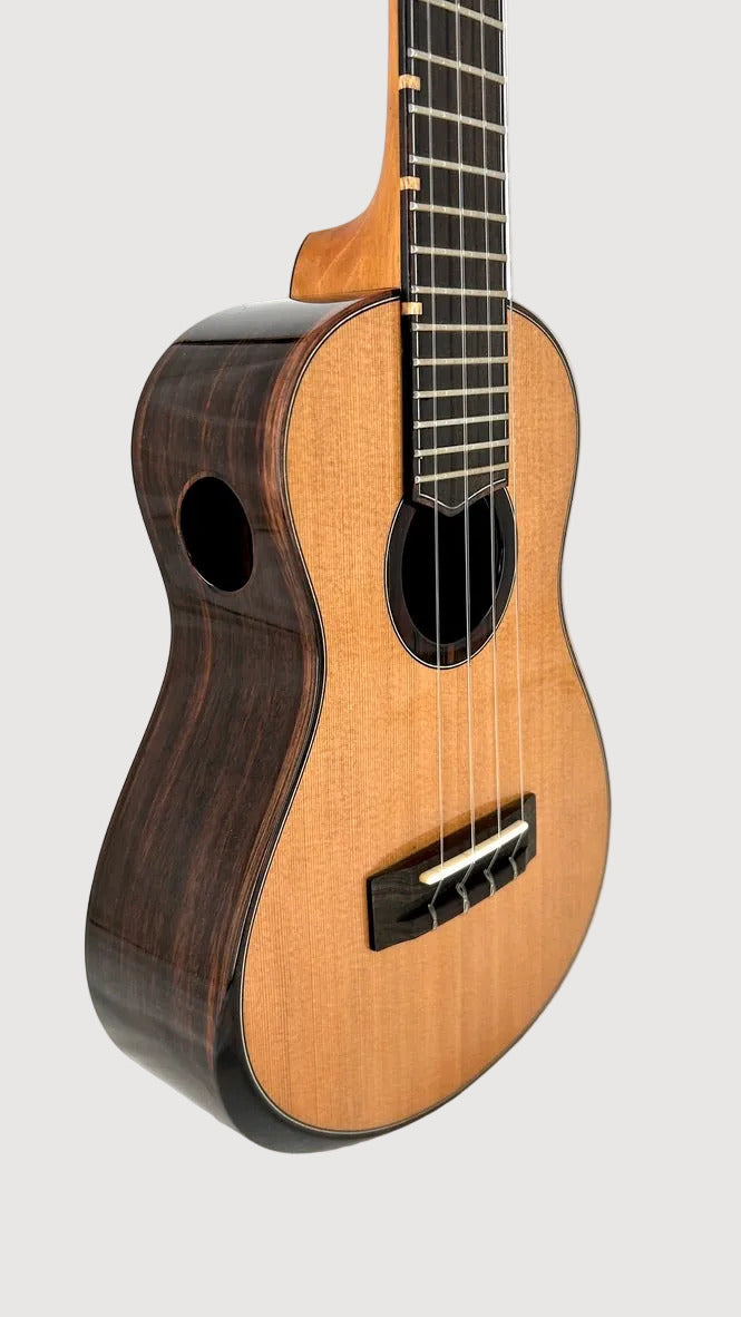 'Oli L2 Concert Cedar Rosewood gloss (L2-CCR)