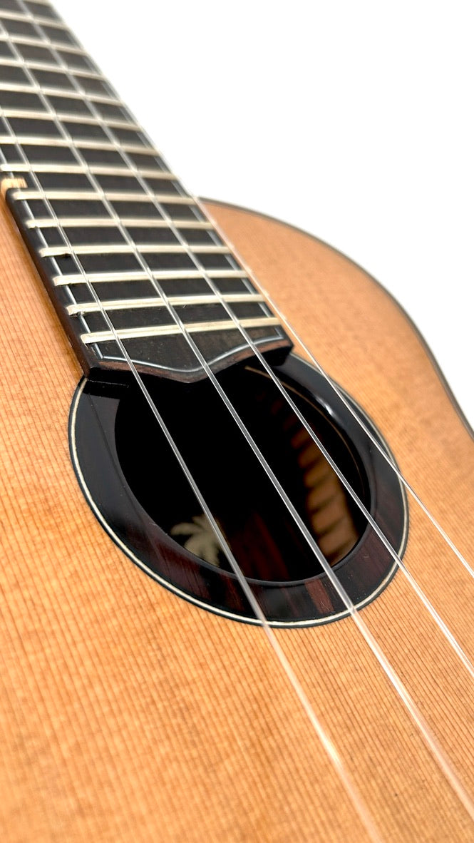 'Oli L2 Concert Cedar Rosewood gloss (L2-CCR)