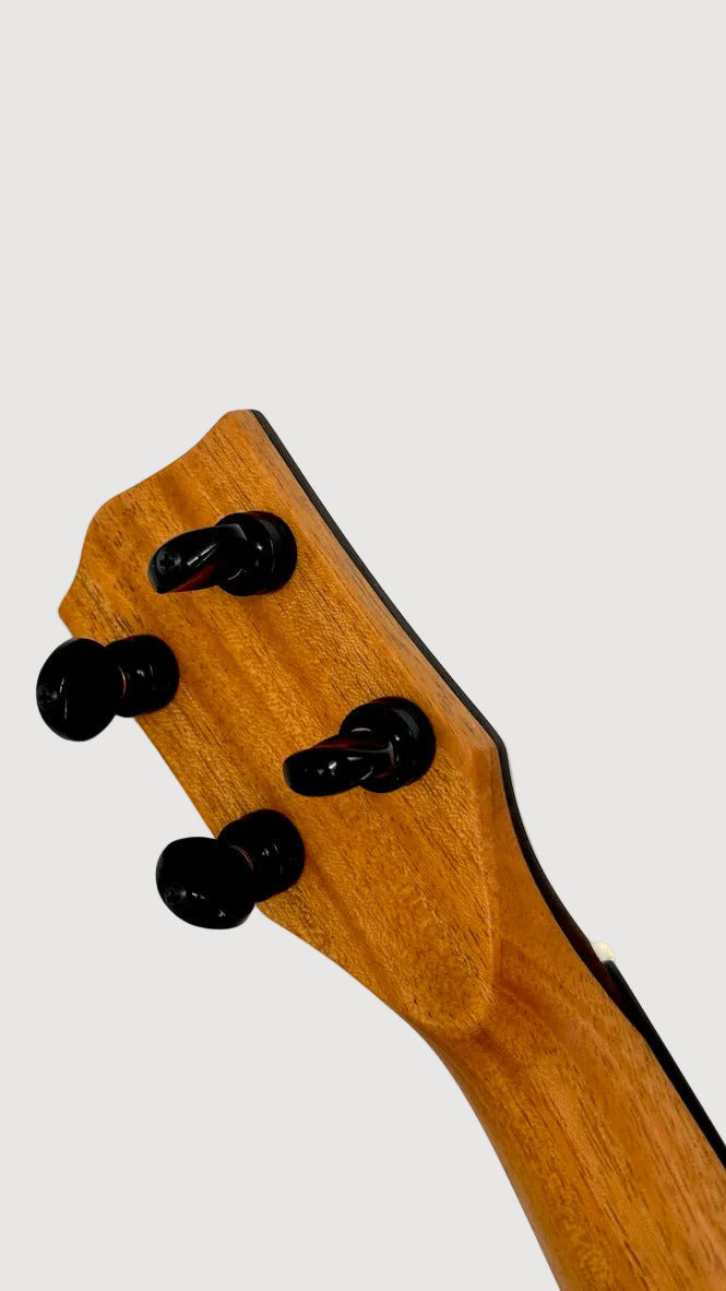'Oli L2 Concert Cedar Rosewood gloss (L2-CCR)