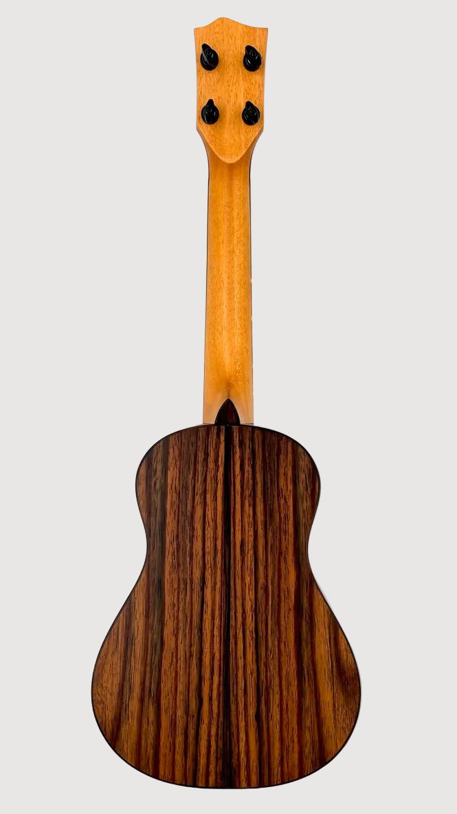 'Oli L2 Concert Cedar Rosewood satin (L2-CCR-S)