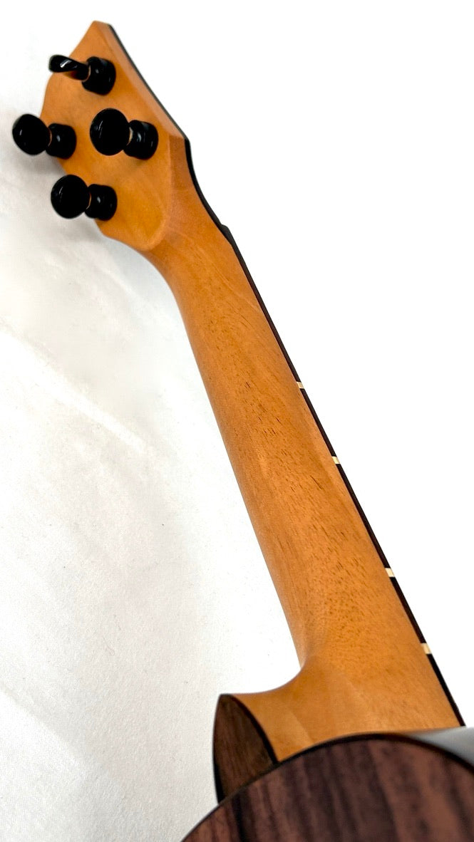 'Oli L2 Concert Spruce Rosewood satin (L2-CSR-S)