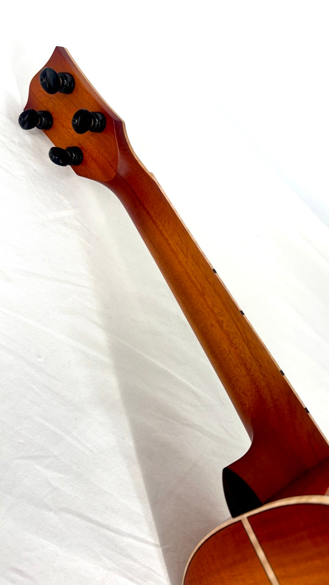 'Oli L2 Tenor Spruce Flamed Maple gloss sunburst (L2-TSFM-SB)