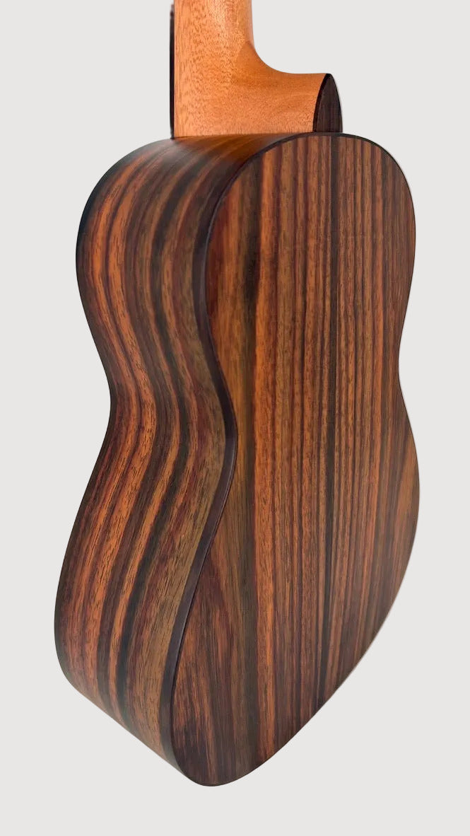 'Oli L2 Tenor Spruce Rosewood satin (L2-TSR-S)