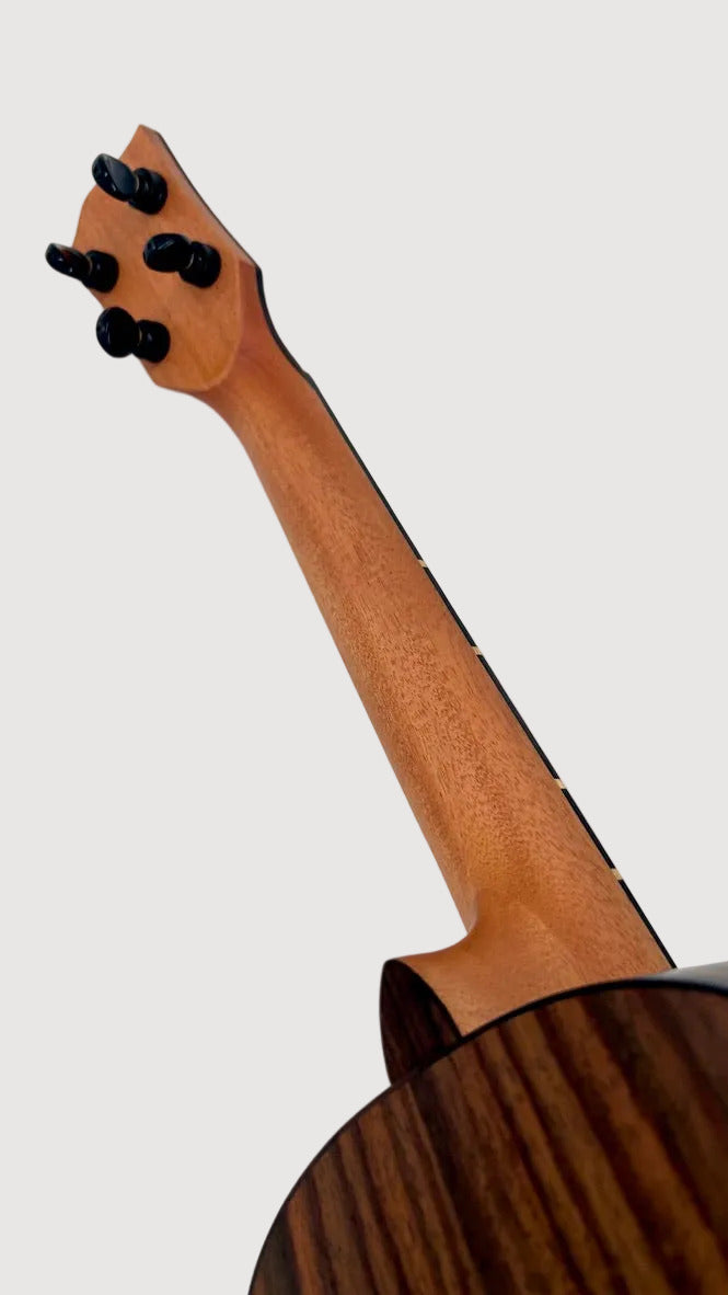 'Oli L2 Tenor Spruce Rosewood satin (L2-TSR-S)