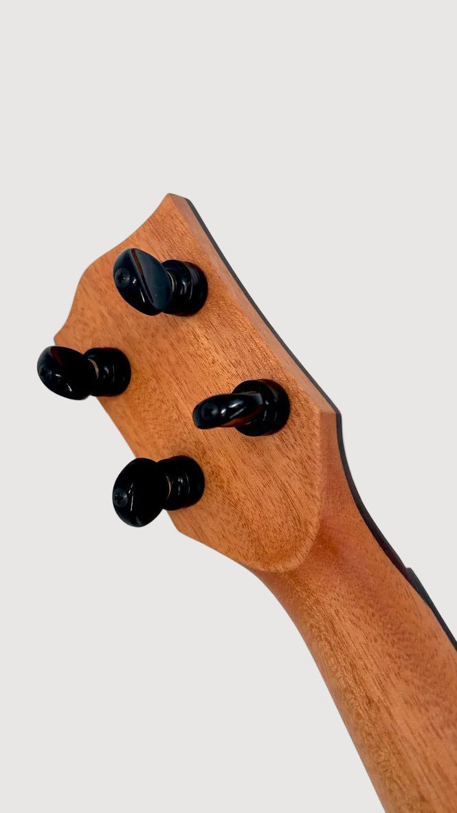 'Oli L2 Tenor Spruce Rosewood satin (L2-TSR-S)