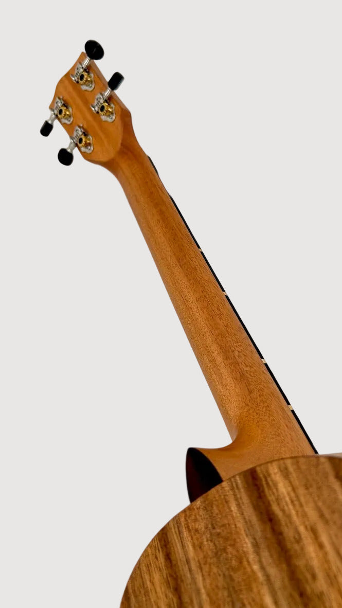 'Oli L Bariton Acacia satin (L-BA-S)