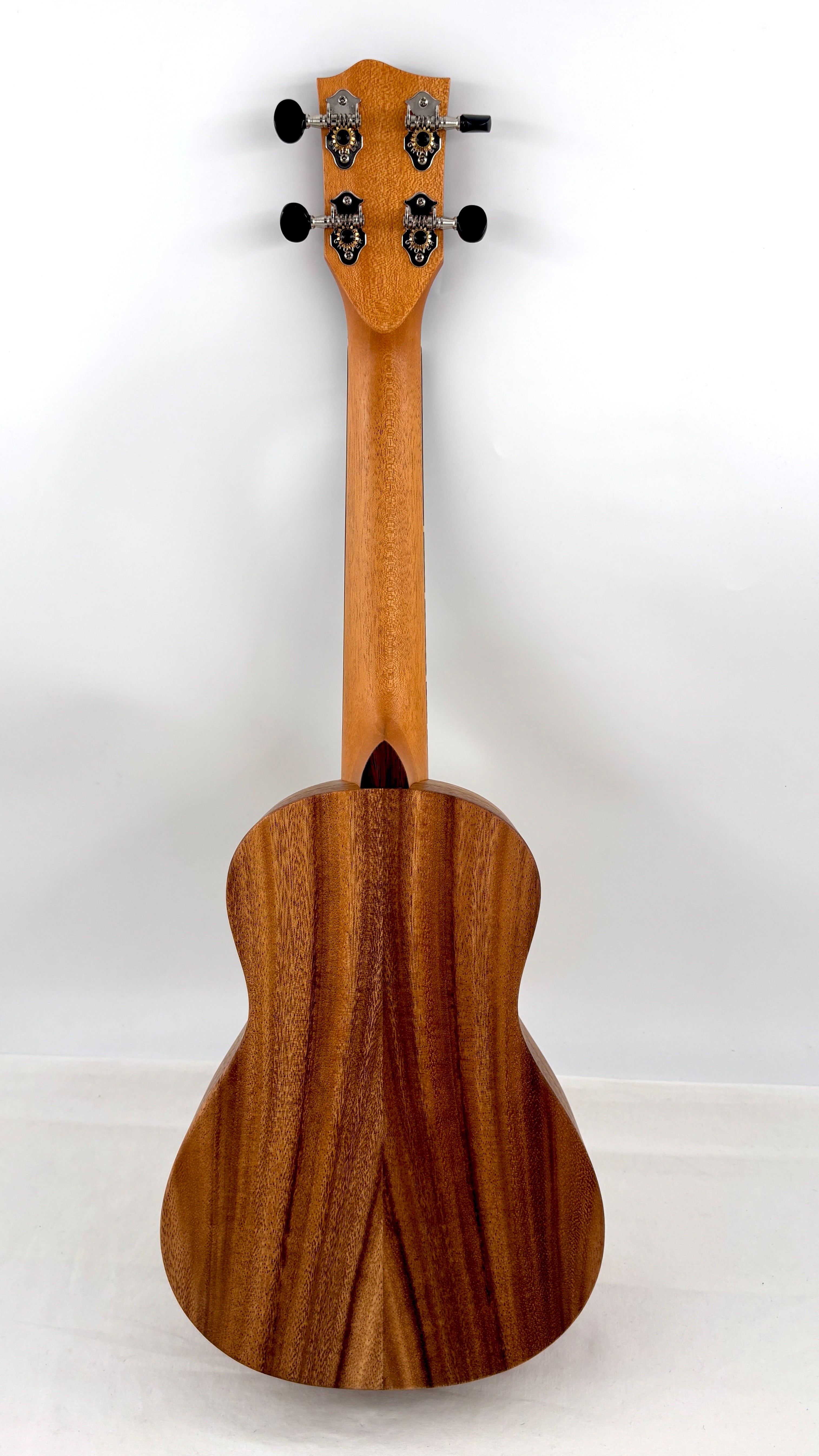 'Oli L Concert Acacia satin (L-CA-S)