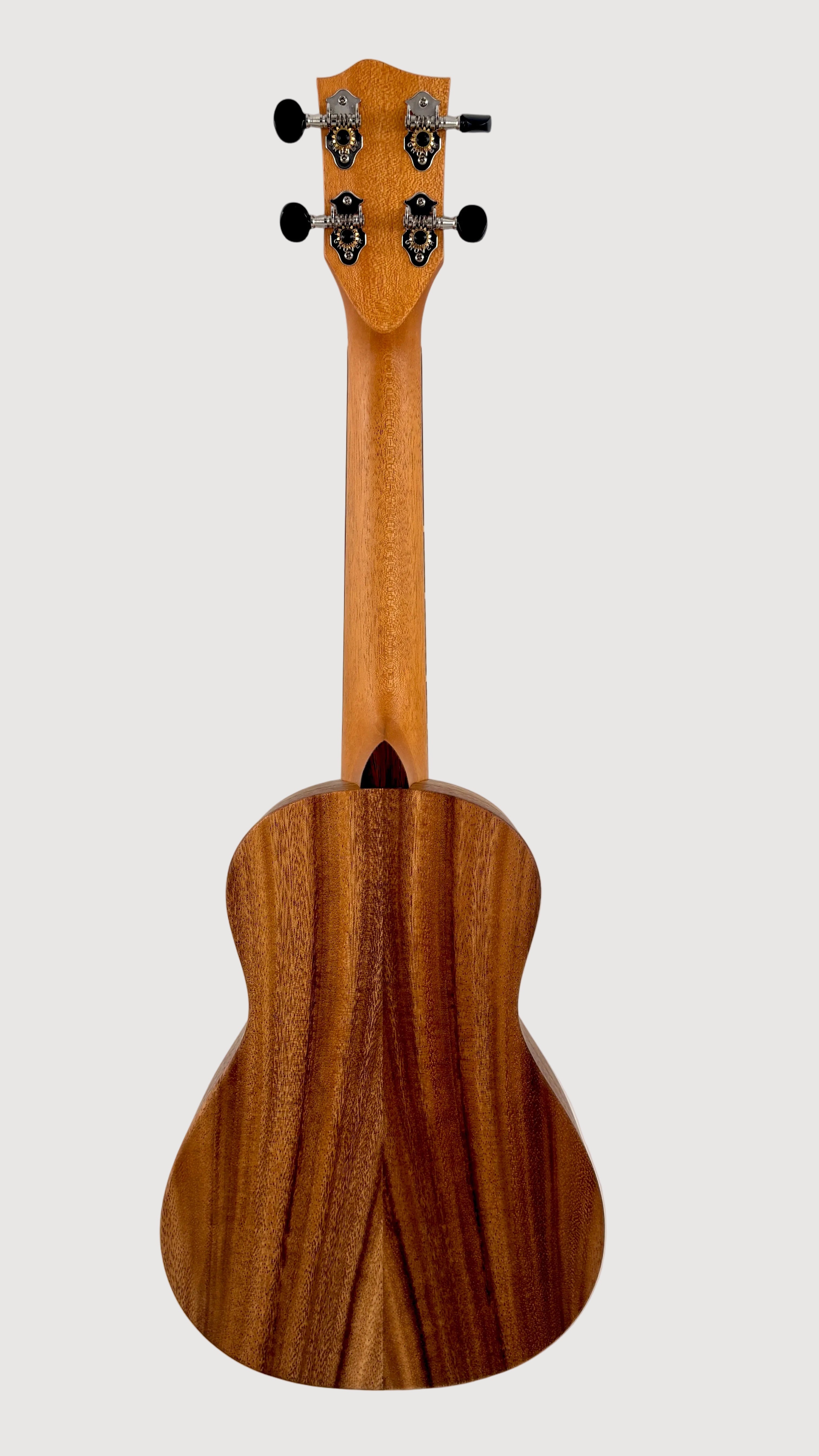 'Oli L Concert Acacia satin (L-CA-S)