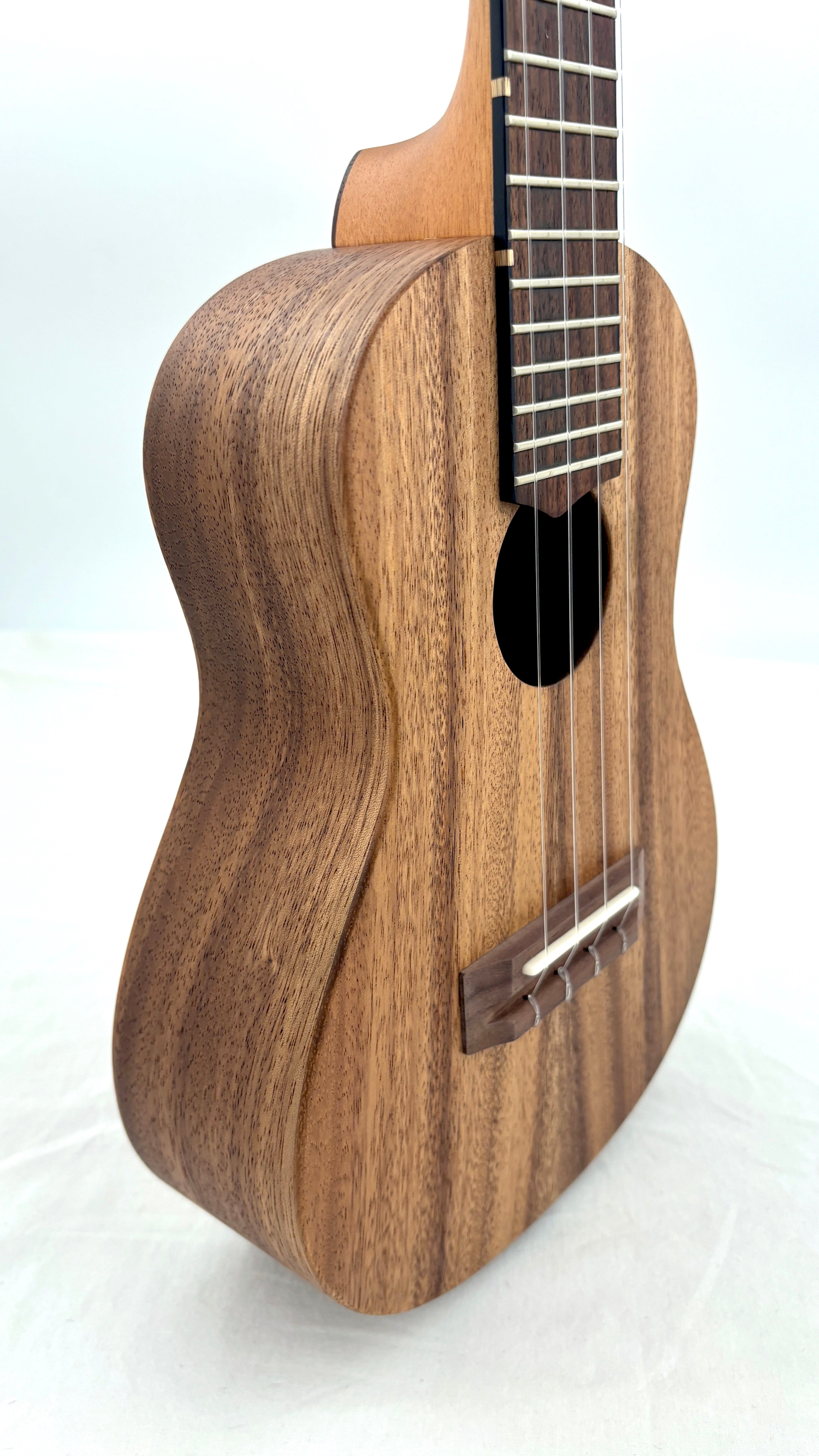 'Oli L Concert Acacia satin (L-CA-S)