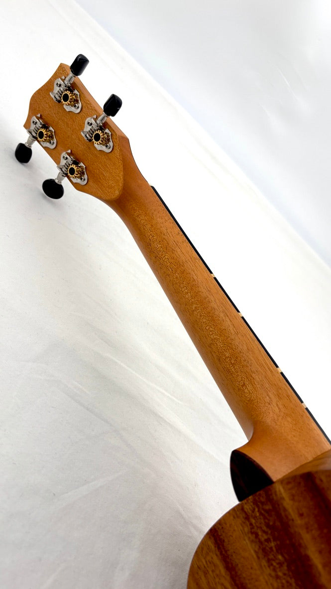 'Oli L Concert Acacia satin (L-CA-S)