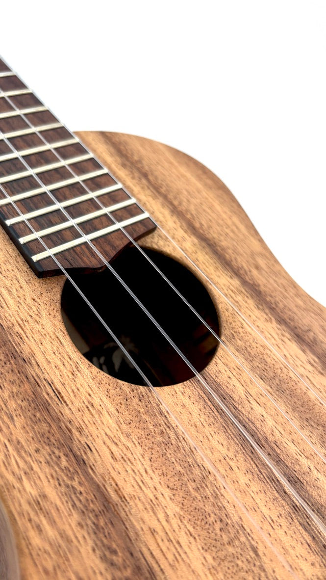 'Oli L Concert Acacia satin (L-CA-S)