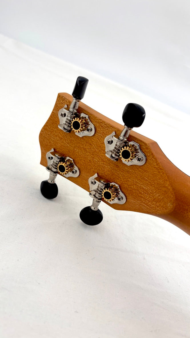 'Oli L Concert Acacia satin (L-CA-S)