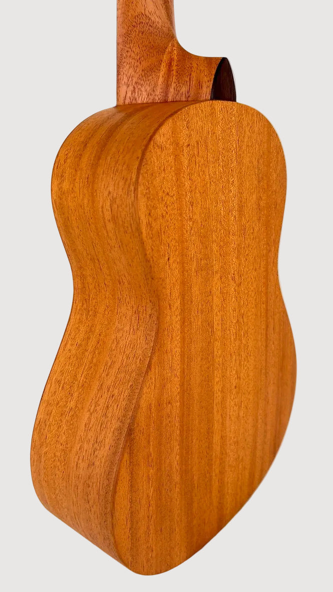 'Oli L Concert Mahagoni satin (L-CM-S)