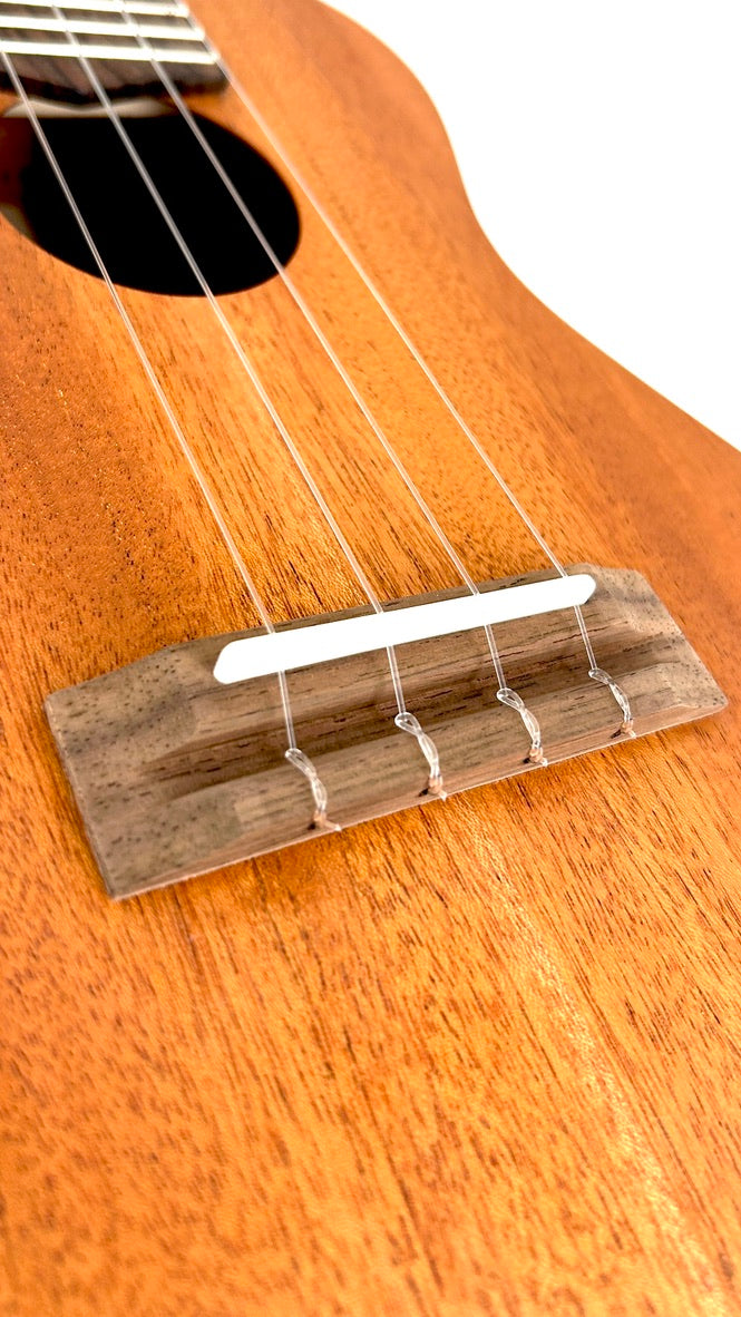 'Oli L Concert Mahagoni satin (L-CM-S)