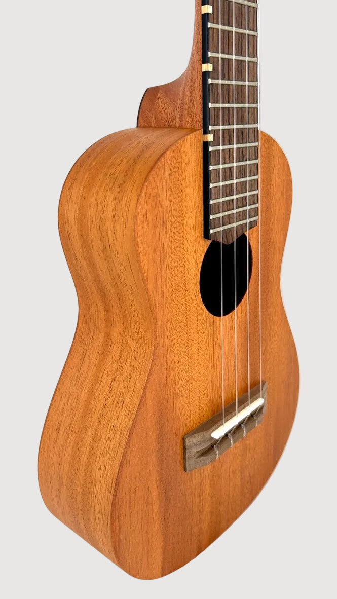 'Oli L Concert Mahagoni satin (L-CM-S)