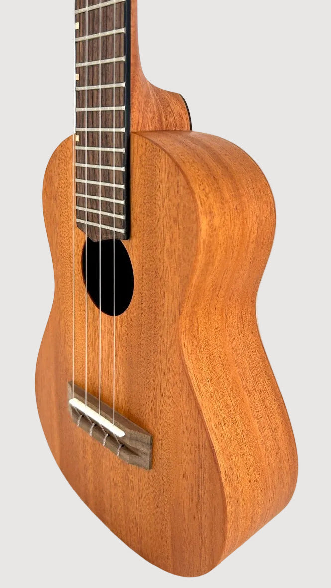 'Oli L Concert Mahagoni satin (L-CM-S)