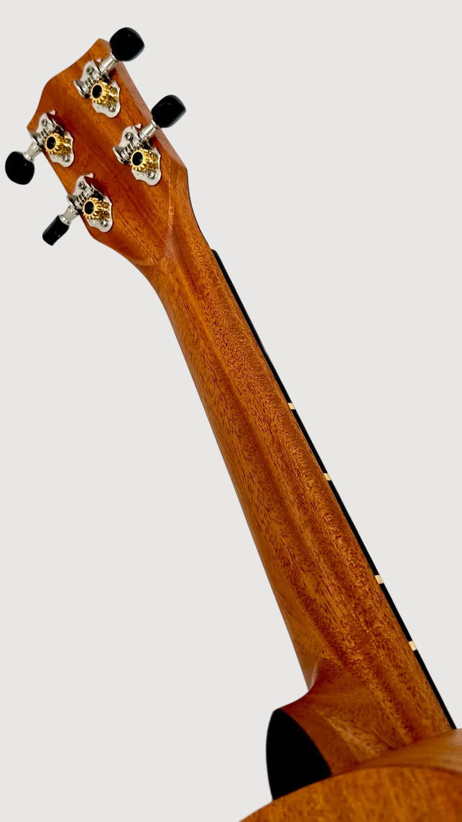 'Oli L Concert Mahagoni satin (L-CM-S)
